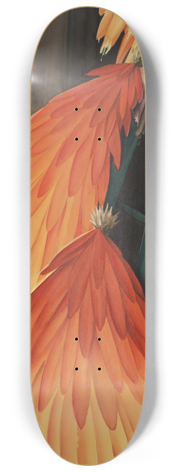 Leon Carroll - Skyrocket (Red HotPoker) 8.25 inch art skate deck