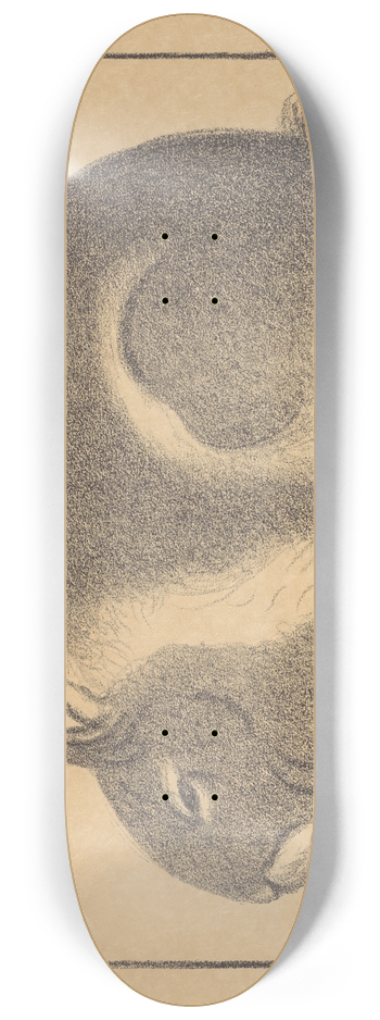 Lon Spilliaert - Konijn 8.25 inch art skate deck