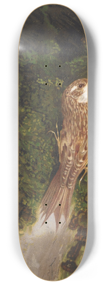 Lo-Paul Robert - Grimpereau 8.25 inch art skate deck