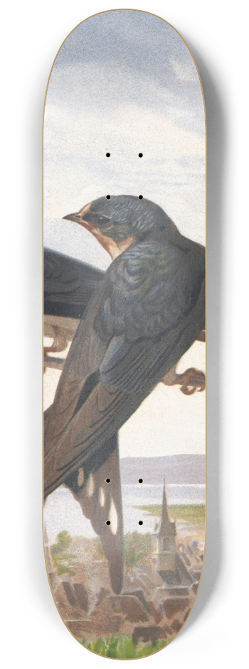 Lo-Paul Robert - Hirondelle de Chemine 8.25 inch art skate deck