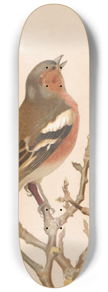 Lo-Paul Robert - Pinson Commun 8.25 inch art skate deck