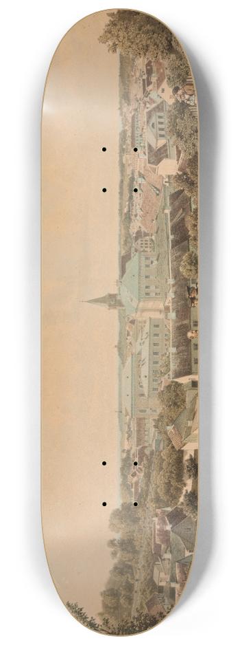 Louis Hflinger - Vaade Tartule Toomelt 8.25 inch art skate deck