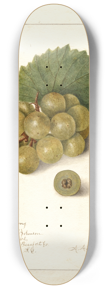 Amanda Almira Newton - Vitis: Scuppernong 8.25 inch art skate deck