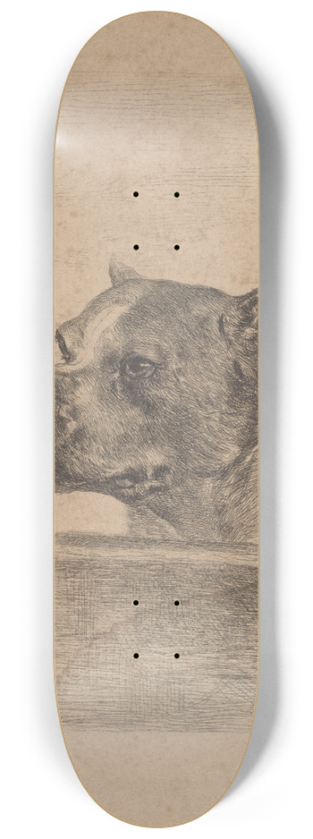 Louis Van Engelen - Dog Head 8.25 inch art skate deck