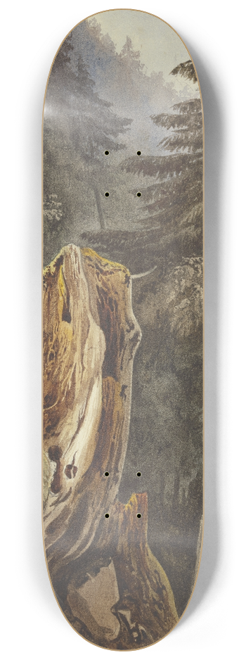 Ludwig Daniel Philipp Schmidt - Baumstumpf am mit Tannen bewachsenem Abhang 8.25 inch art skate deck