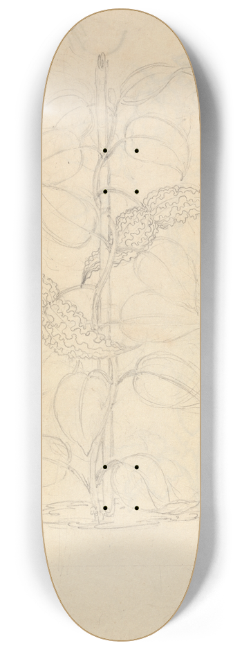 Luigi Balugani - Scangho 8.25 inch art skate deck