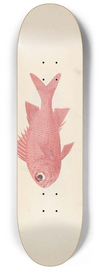 Luigi Balugani - Unidentified Fish 8.25 inch art skate deck