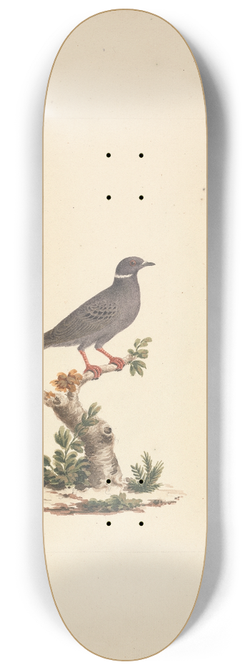 Luigi Balugani - Untitled Bird 8.25 inch art skate deck