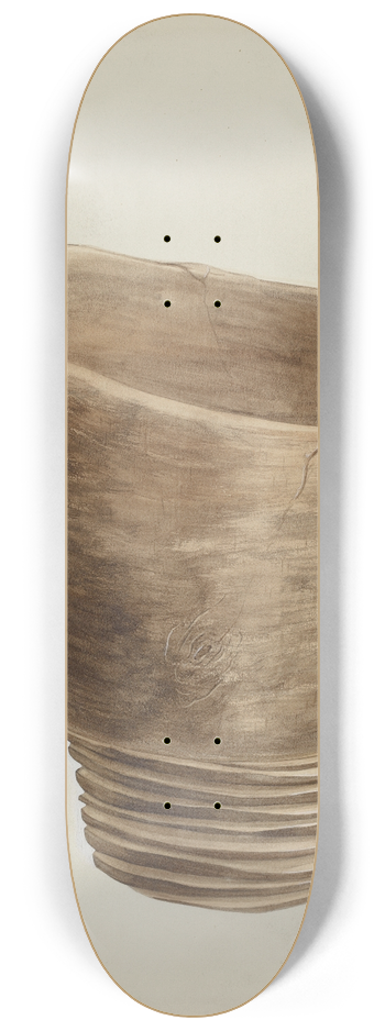 Majel G. Claflin - Holy Water Font 8.25 inch art skate deck