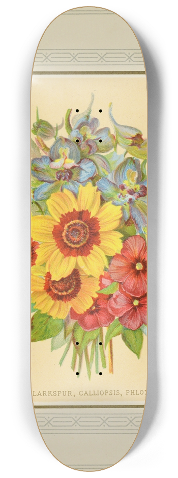 Marcus Ward & Co - Larkspur, Calliopsis, Phlox 8.25 inch art skate deck