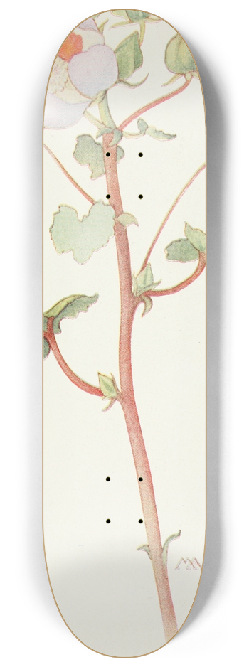 Margaret Armstrong - Spotted Mallow 8.25 inch art skate deck