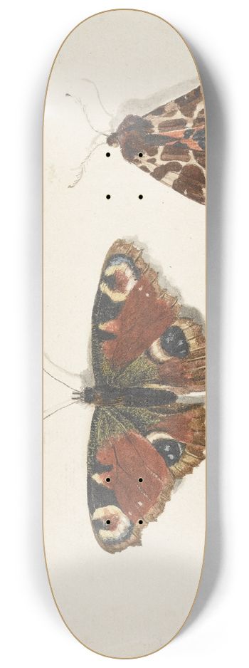 Johannes van Bronckhorst - Butterfly, Moth and Bumblebee 8.25 inch art skate deck