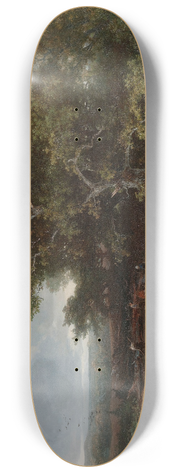 Johannes Wernardus Bilders - The Heath near Wolfheze 8.25 inch art skate deck