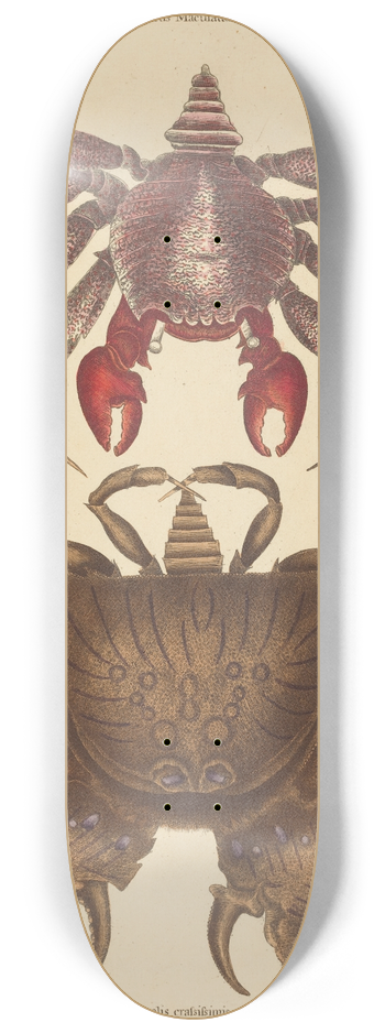 Mark Catesby - Red Mottled Rock-crab (Cancer grapsus) 8.25 inch art skate deck