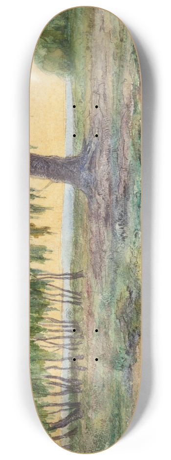 Martn Malharro - Paisaje 8.25 inch art skate deck