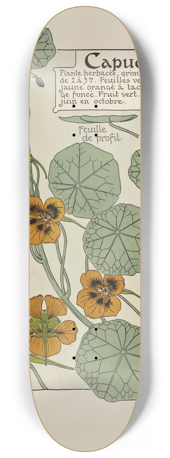 Maurice Pillard Verneuil - Capucine 8.25 inch art skate deck