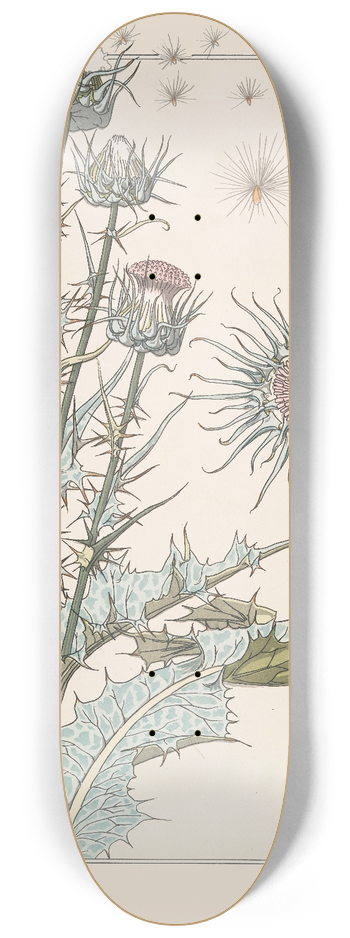 Maurice Pillard Verneuil - Chardon 8.25 inch art skate deck