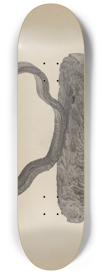 Maurice Van Felix - Flatiron 8.25 inch art skate deck