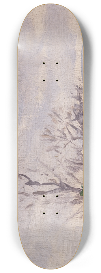 Michael Healy - A Landscape 8.25 inch art skate deck