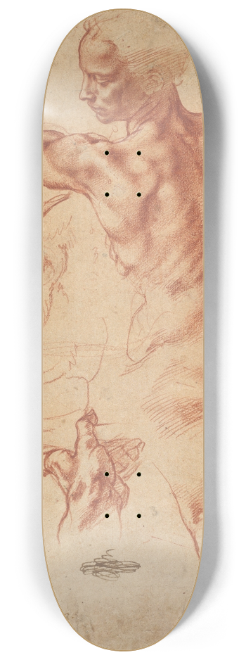 Michelangelo - Studies for the Libyan Sibyl 8.25 inch art skate deck