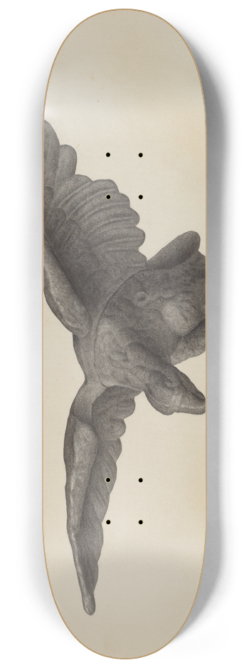 Milton Grubstein - Eagle 8.25 inch art skate deck