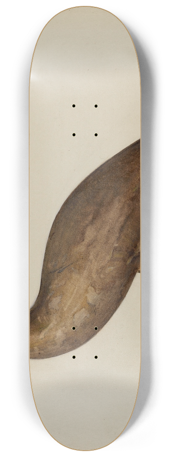 Mina Lowry - Bird 8.25 inch art skate deck
