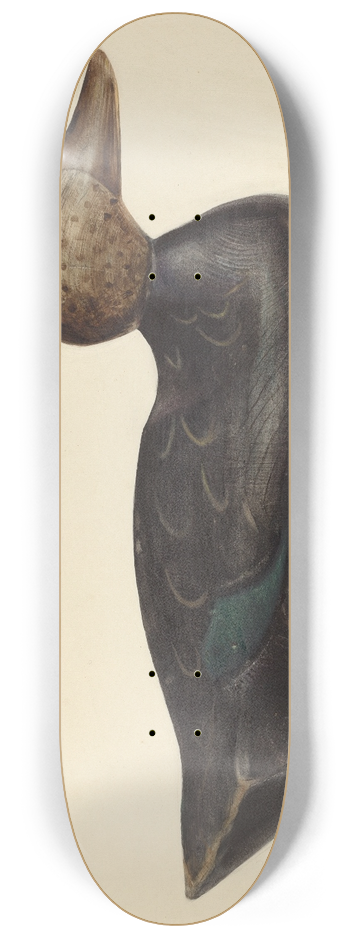 Mina Lowry - Decoy 8.25 inch art skate deck