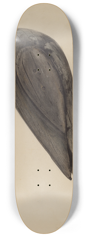 Mina Lowry - Decoy (Gull) 8.25 inch art skate deck