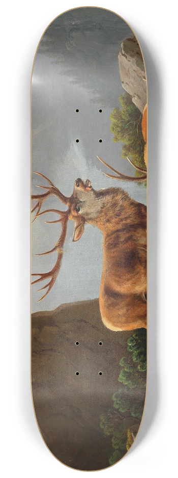 Moritz Mller - After the Fight 8.25 inch art skate deck