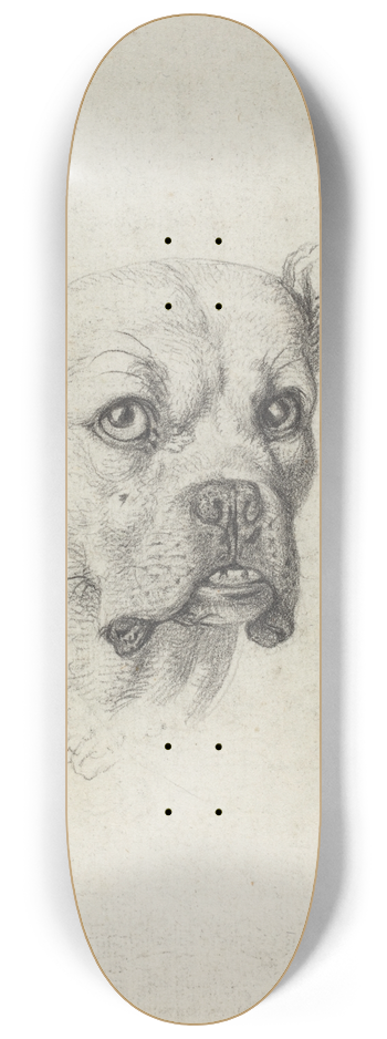 Johann Heinrich Wilhelm Tischbein - A Boxer 8.25 inch art skate deck