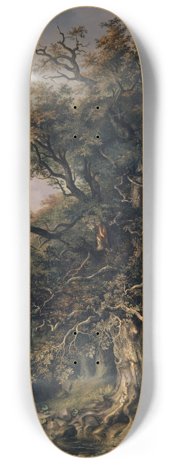 Johann Jakob Siegmund - The Kings Oak 8.25 inch art skate deck