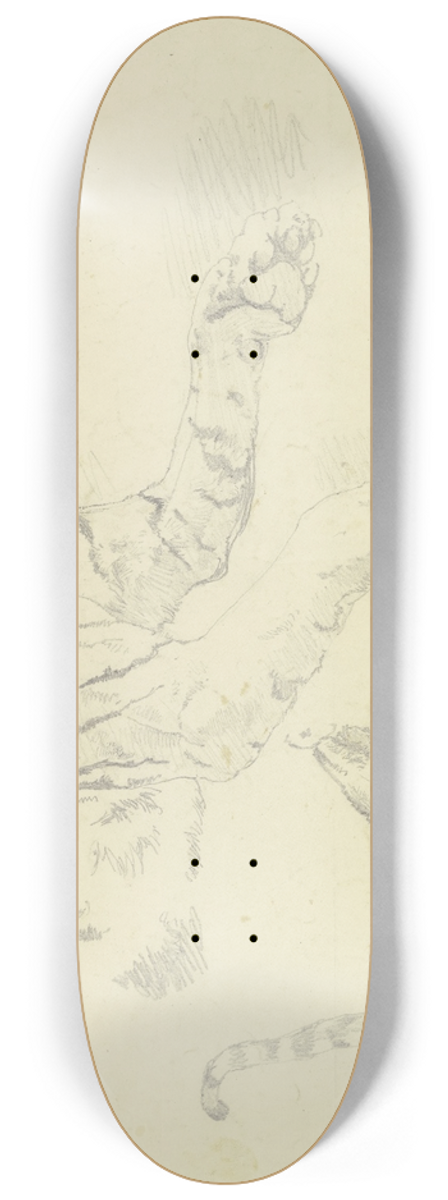 Johann Nepomuk Rauch - A tiger 8.25 inch art skate deck