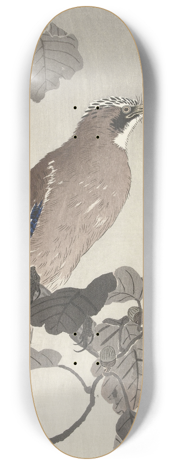 Ohara Koson - Jay on tree branch 8.25 inch art skate deck