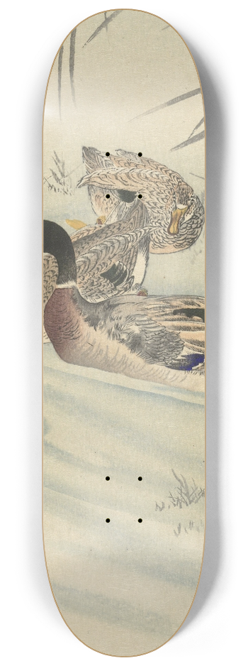 Ohara Koson - Three ducks in shallow water with reed 8.25 inch art skate deck