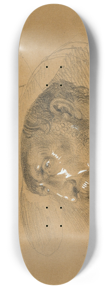 Johann Peter Krafft - Kopfstudie zur Szene aus dem Tiroler Freiheitskampf 8.25 inch art skate deck