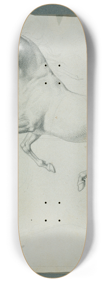 Johann Peter Krafft - Pferdestudie zu Rdiger und Angelika 8.25 inch art skate deck
