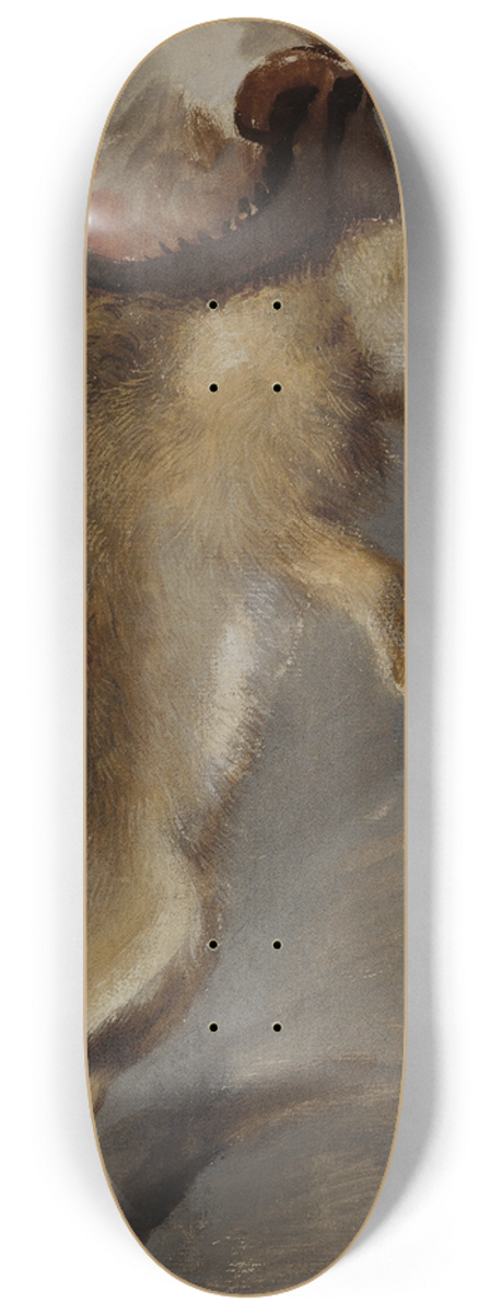 Johann Peter Krafft - Studie eines Hasen 8.25 inch art skate deck