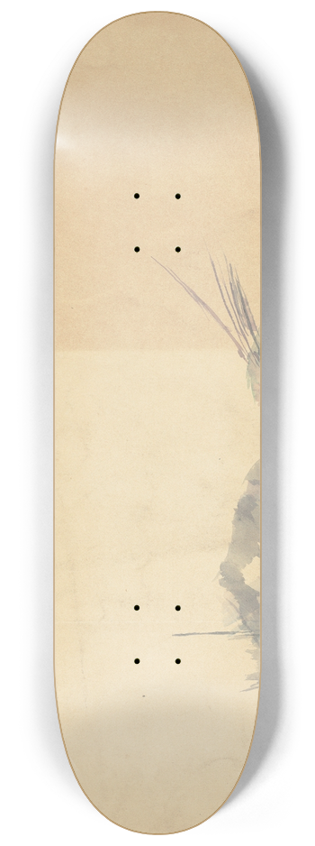 Paul Czanne - Study of a Rock (verso) 8.25 inch art skate deck