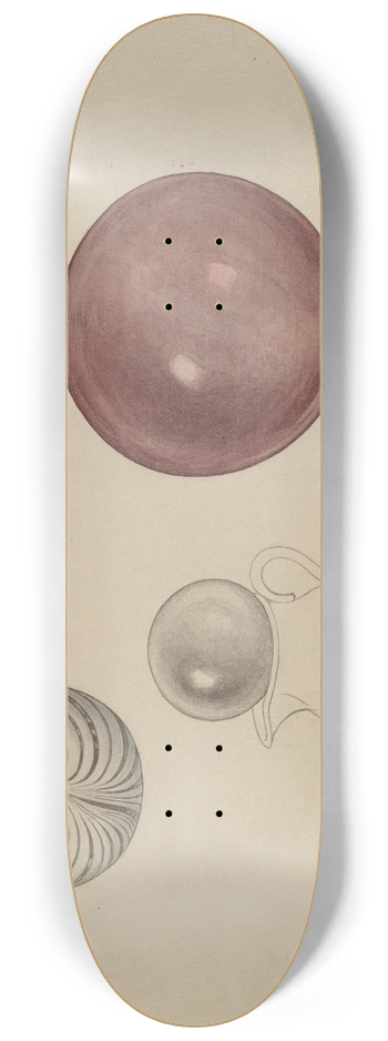Paul Ward - Witch Ball 8.25 inch art skate deck