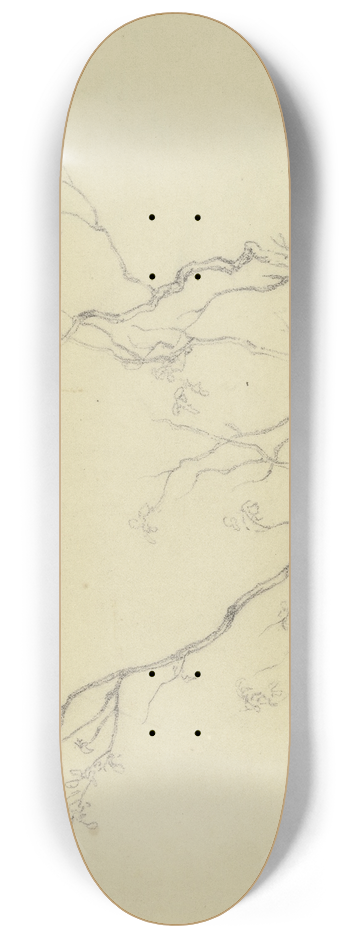 Peter Burnitz - Bush 8.25 inch art skate deck