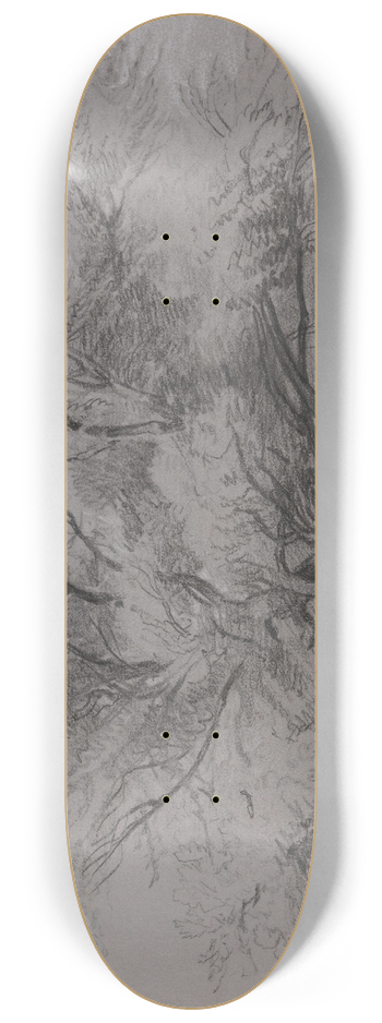 Peter DeWint - Pond with Willow Tree and Ducks 8.25 inch art skate deck