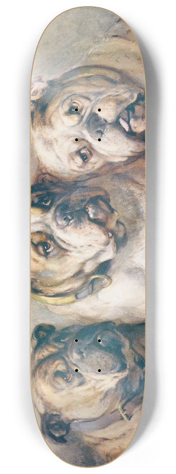 Philip Eustace Stretton - The Three Graces 8.25 inch art skate deck