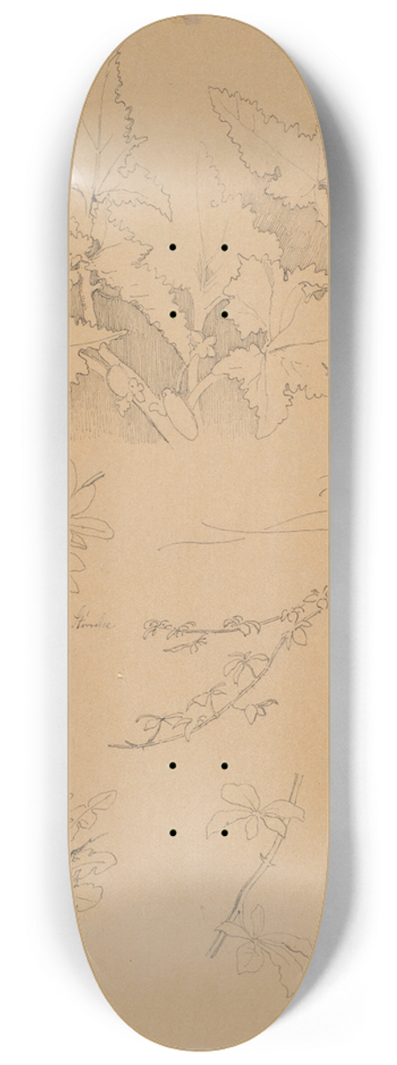 Johan Thomas Lundbye - Blad- og blomsterstudier 8.25 inch art skate deck