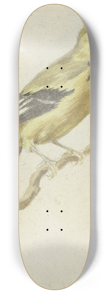 Pieter Gevers - Gele Troepiaal (Icterus nigrogularis) 8.25 inch art skate deck