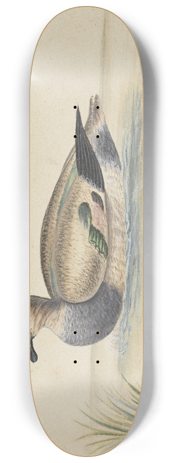 Pieter Holsteijn - Duck to the left 8.25 inch art skate deck