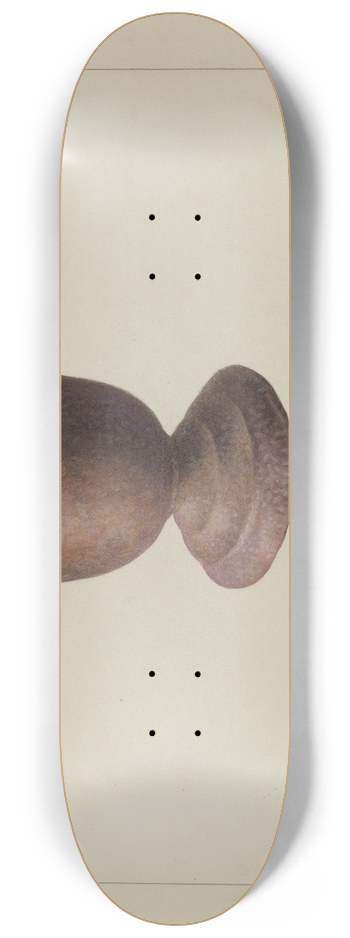 Ralph Morton - Mortar and Pestle 8.25 inch art skate deck