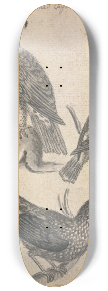 Richard Brookes - Crowned Eagle and Two Birds 8.25 inch art skate deck
