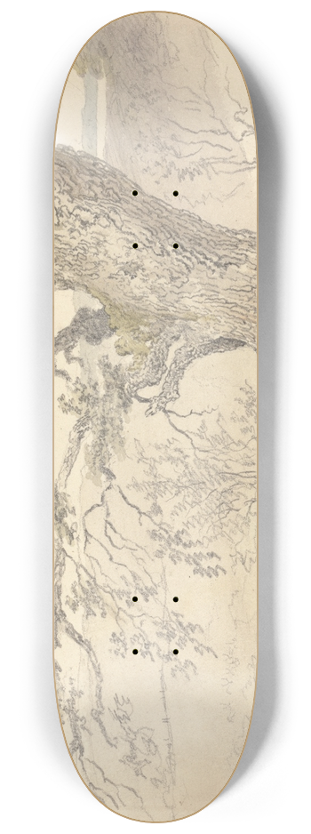 Robert Hills - An Oak in Englefield Park 8.25 inch art skate deck
