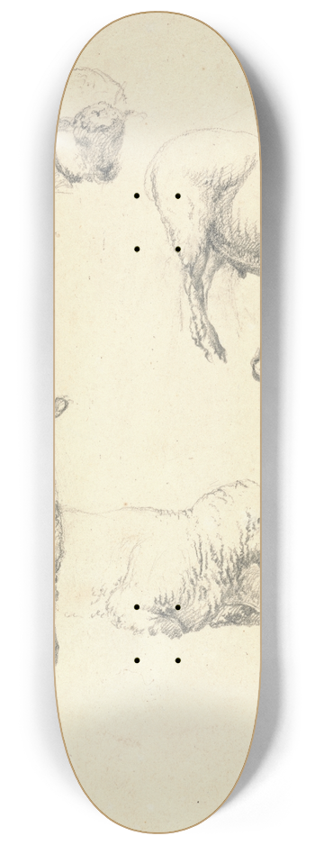 Robert Hills - Sheep 8.25 inch art skate deck