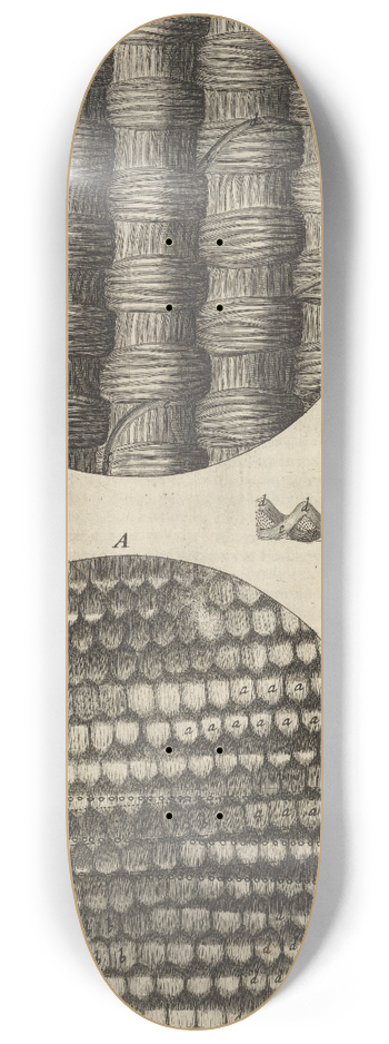 Robert Hooke - Microscopic view of taffeta and silk 8.25 inch art skate deck